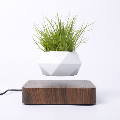 Magnetic Levitation Potted Plants