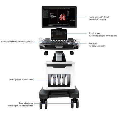 Your Global Partner for Medical Products