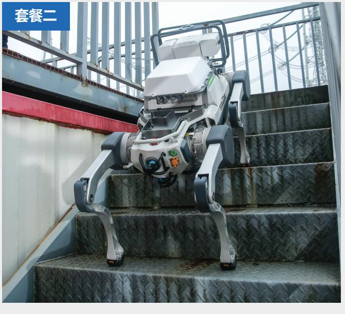 AI-Powered Robot Dogs: The Future of Power Inspection