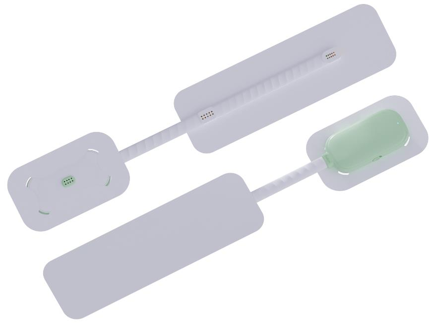 Disposable Biochemical Detection Sensor - Nutrient Monitoring