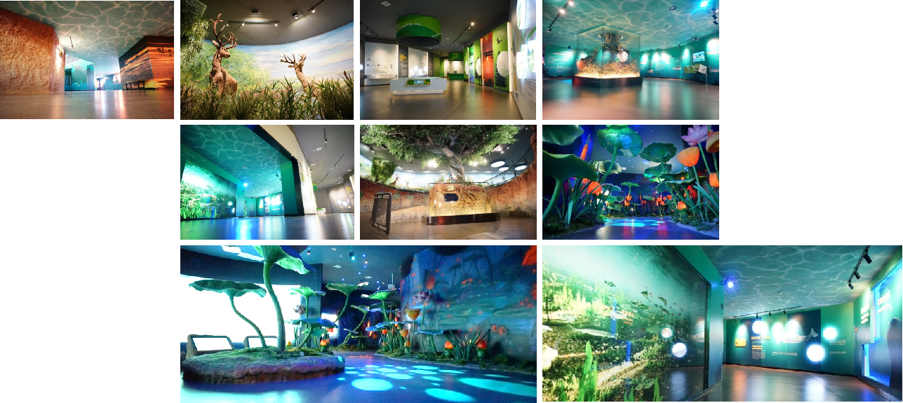 Design and Visualization for Building and Attractions