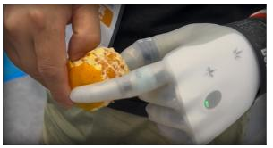 Intelligent Bionic Hand (Digital Intelligence)