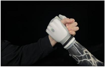 Intelligent Bionic Hand (Digital Intelligence)