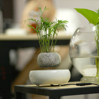 Magnetic Levitation Potted Plants