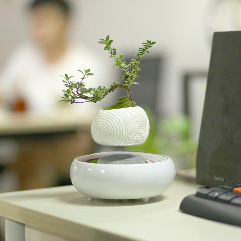 Magnetic Levitation Potted Plants