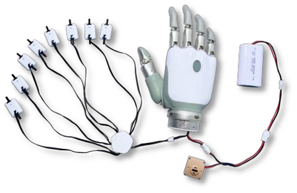 Intelligent Bionic Hand (Digital Intelligence)