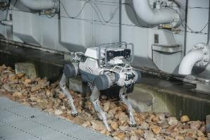 AI-Powered Robot Dogs: The Future of Power Inspection