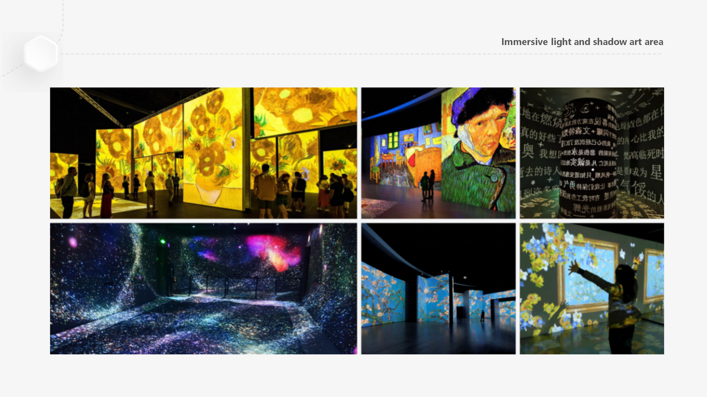 VAN GOGH STAR ART MUSEUM (IP Commercialization)