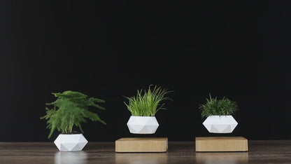 Magnetic Levitation Potted Plants